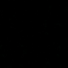 Guest_Cj608907