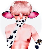 ExoticDrag