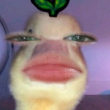 NabieYu
