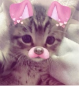 Guest_Camila812120