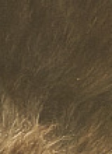 Guest_stxzay