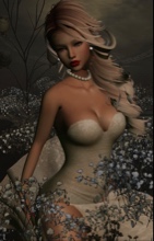 Lilpet88