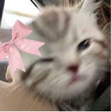 Guest_scarlett1825