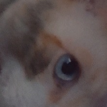 Guest_Vicky0