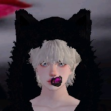 Guest_An22211