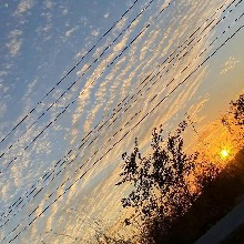 Guest_Fer547043