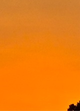 Guest_trellcrazy