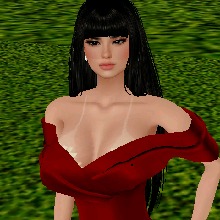 Guest_sol689883