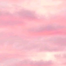 Guest_Erica791326