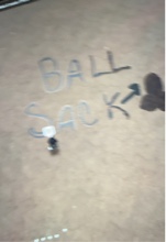 Guest_Dalyn24