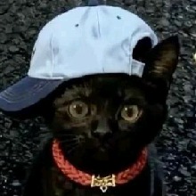 Guest_santosbellxzj