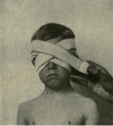 Guest_eccentricity