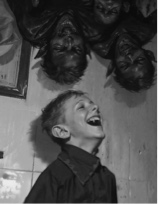 Guest_eccentricity