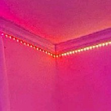 Guest_Maylin142164