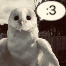 Guest_bizroentgeniumf382