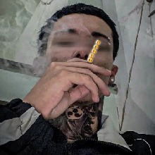 Guest_CavaloCria