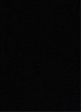 Guest_Anitta695
