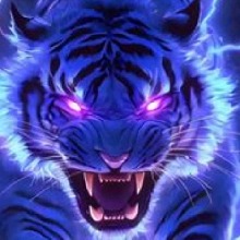 KittenMoon711