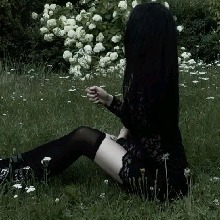 Guest_Ziiipandaxo