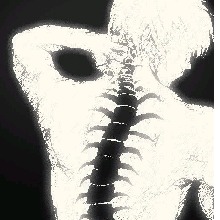 Nexxo3