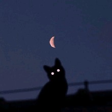Guest_AdrianGuampa