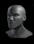 lexwidapoll