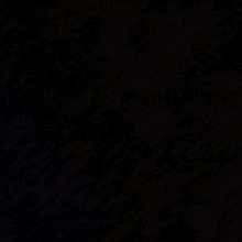 Guest_pashaphthaloblued23c