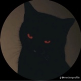 Guest_Dickickem221