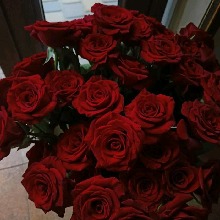 Guest_Catemidnightloveher5