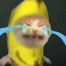 Guest_sweetdarkchestnu5eb4