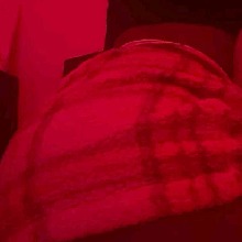 Guest_Ruiva50