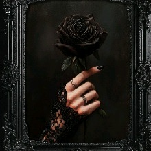 Guest_Bsra13