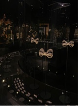 Guest_ssa691327