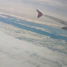 Guest_Sofia121307