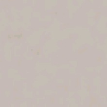 Guest_yogatangerineyelccf3