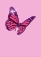Guest_Daisy314862