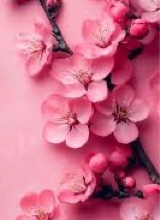 Guest_Daisy314862