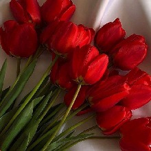 Guest_emma85961
