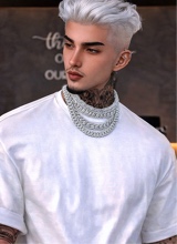 Guest_Willtraynor1