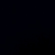 Guest_Raven230032