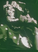 Guest_whosdestani
