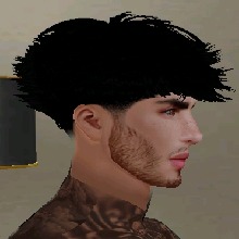 Guest_Raul369