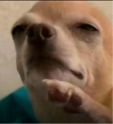 Eeyyuucckk