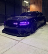 Guest_Drew32