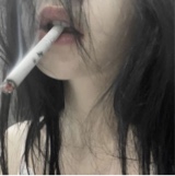 Guest_Canry