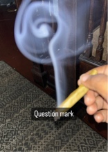 Guest_Dee873322
