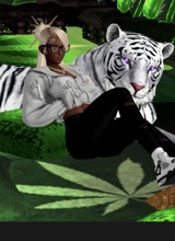 Guest_myraclee1