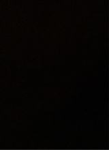 Guest_Courtney10