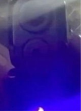 Guest_Kevonfrm4