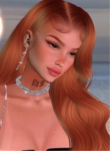 Guest_kelly256675